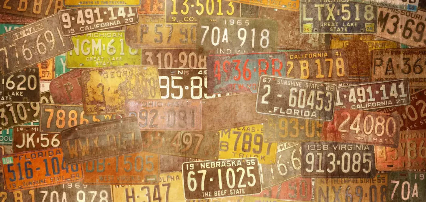 Platesvintage 16X8 Ultracloth ( 192 X 96 Inch ) Backdrop