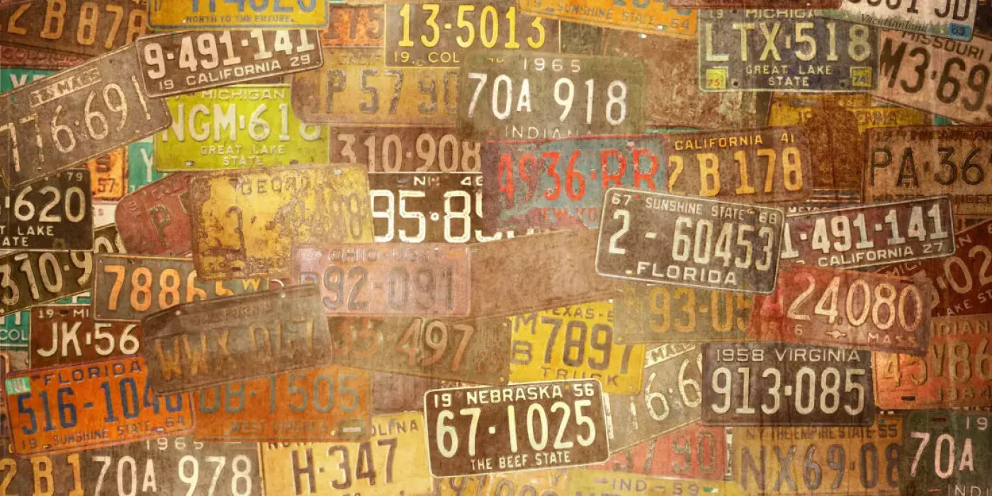 Platesvintage 20X10 Ultracloth ( 240 X 120 Inch ) Backdrop