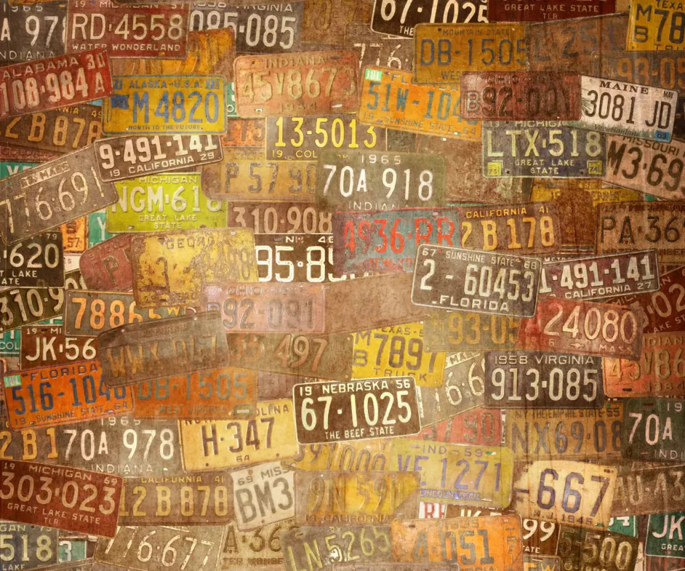 Platesvintage 5X42 Fleece ( 60 X 50 Inch ) Backdrop