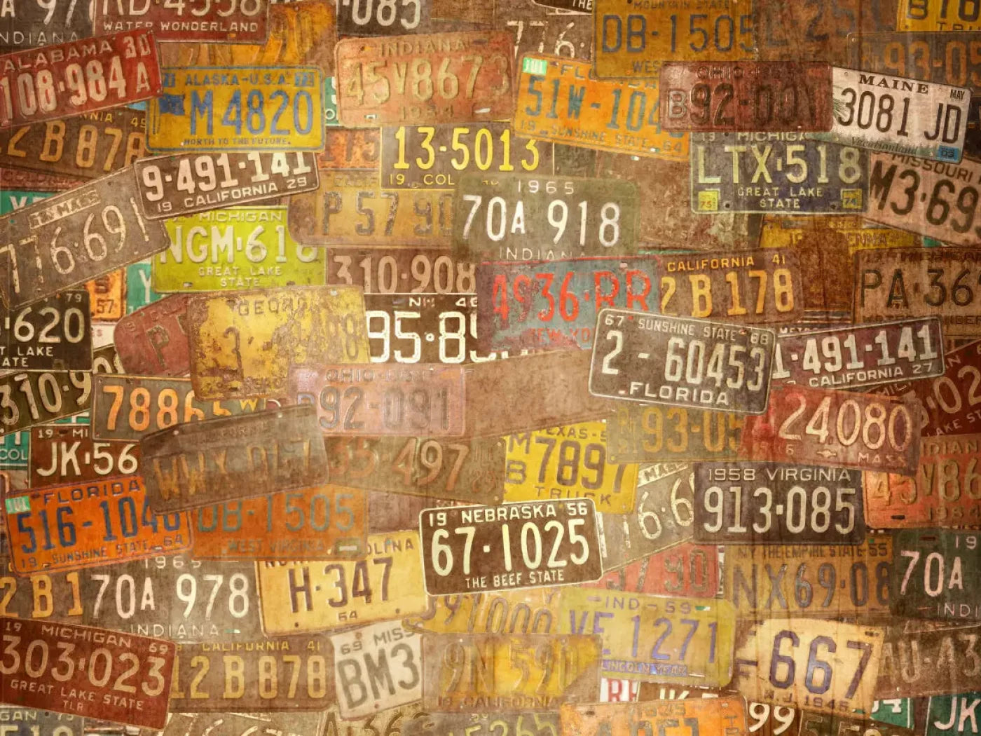 Platesvintage 68X5 Fleece ( 80 X 60 Inch ) Backdrop