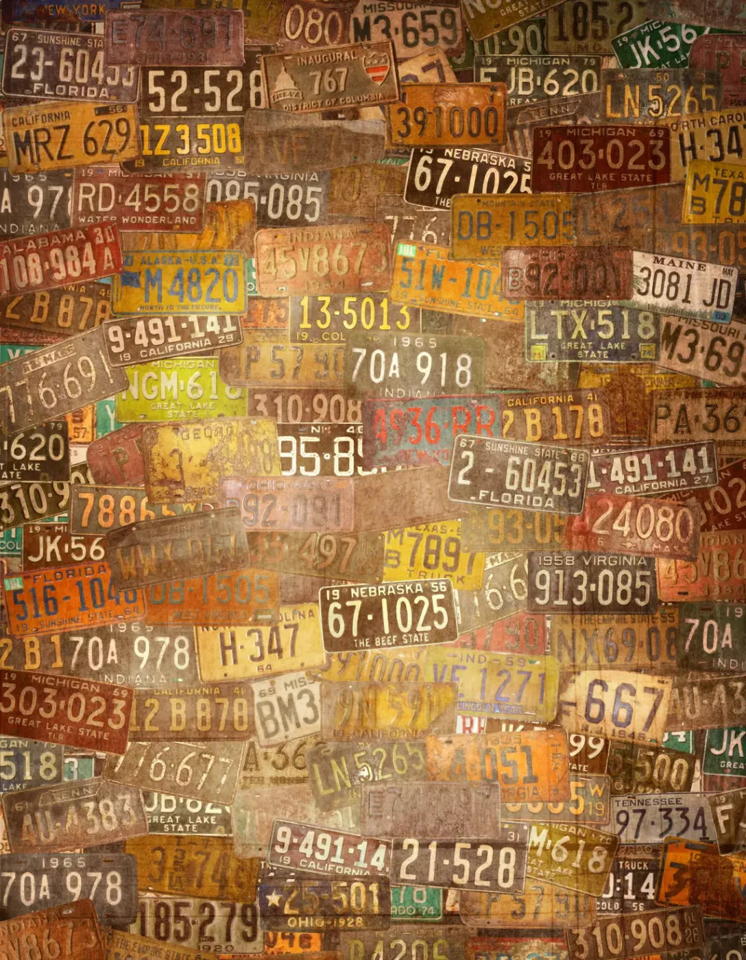 Platesvintage 6X8 Fleece ( 72 X 96 Inch ) Backdrop