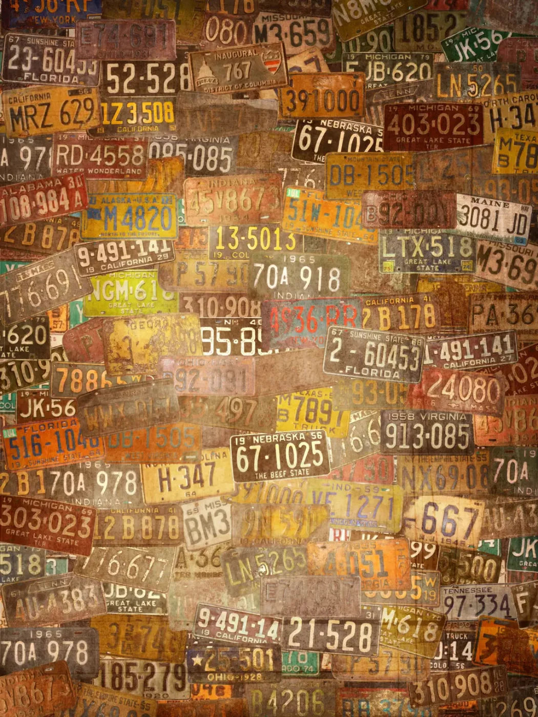 Platesvintage 8X10 Fleece ( 96 X 120 Inch ) Backdrop