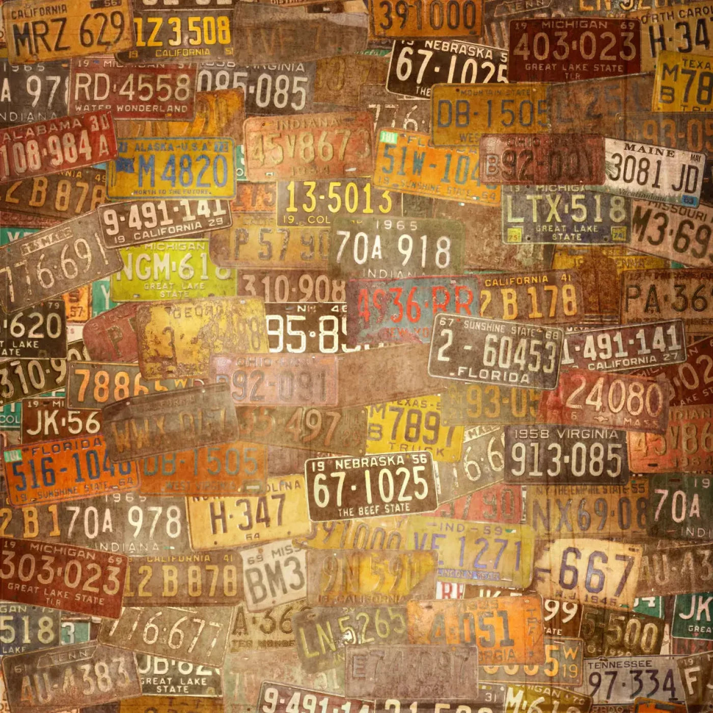 Platesvintage 8X8 Fleece ( 96 X Inch ) Backdrop