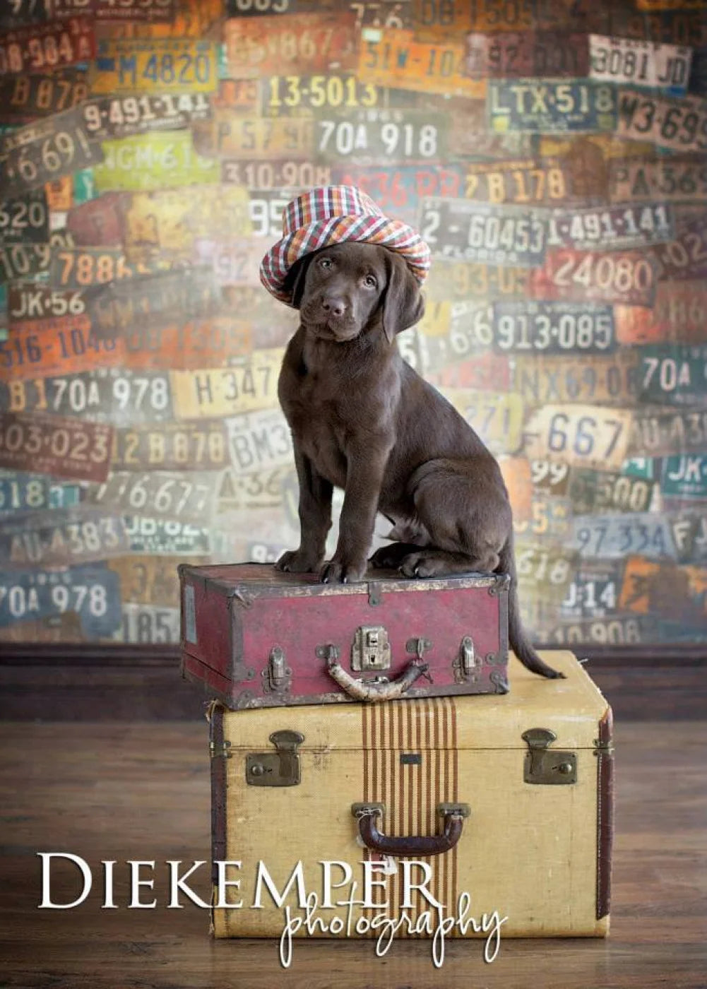 Platesvintage Backdrop