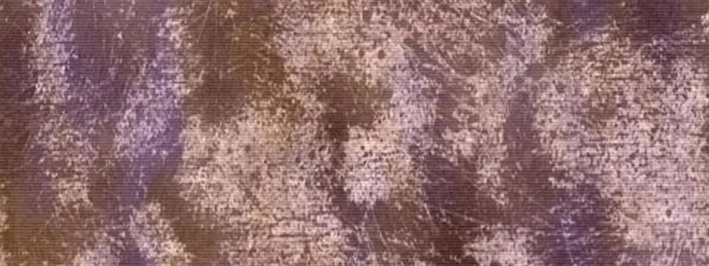 Plume 20X8 Ultracloth ( 240 X 96 Inch ) Backdrop
