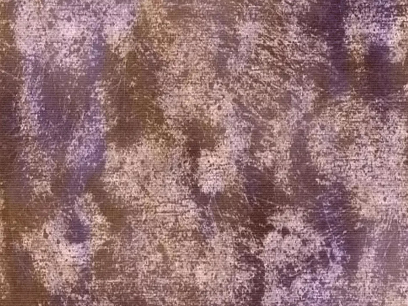Plume 68X5 Fleece ( 80 X 60 Inch ) Backdrop