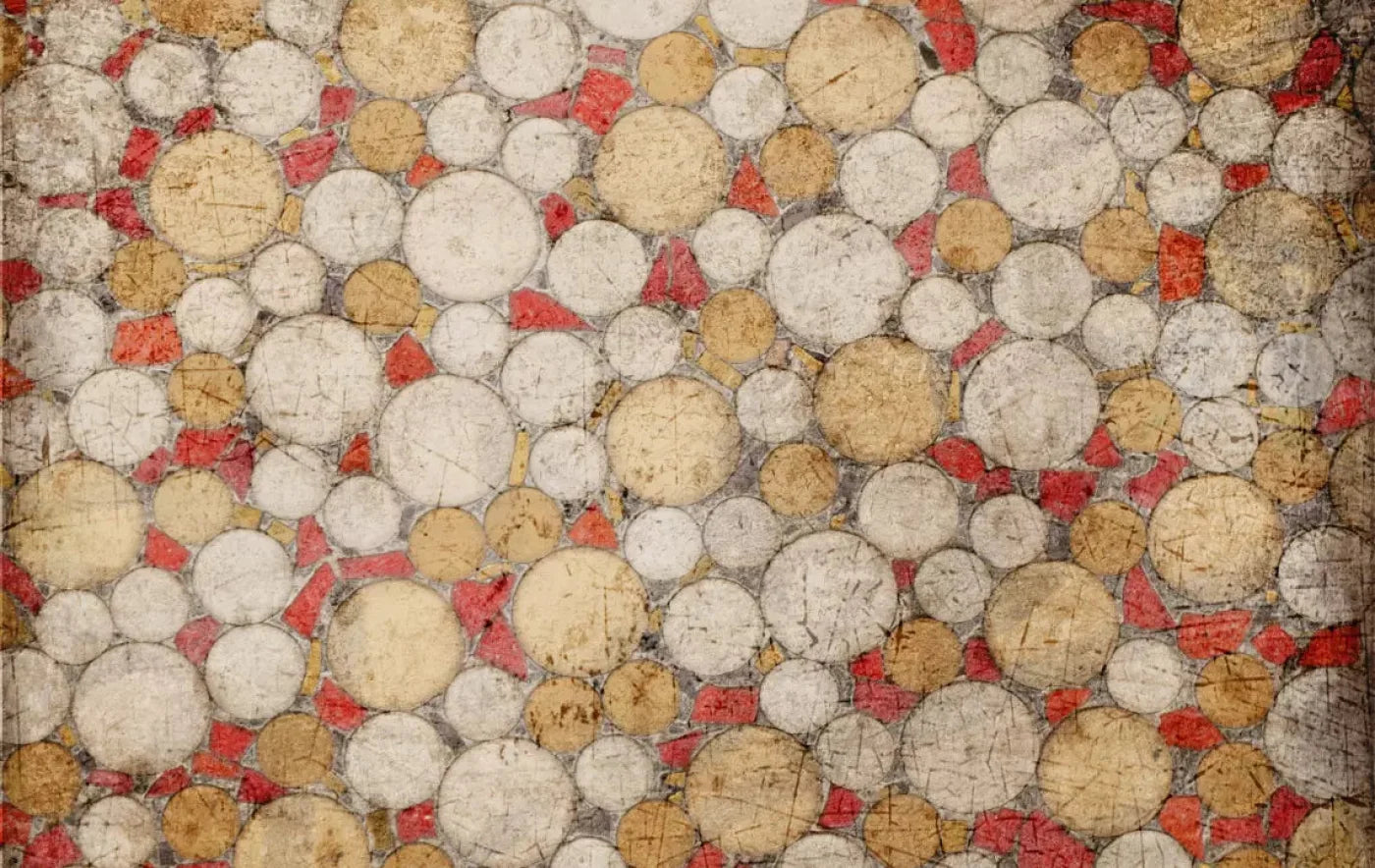 Poko 16X10 Ultracloth ( 192 X 120 Inch ) Backdrop