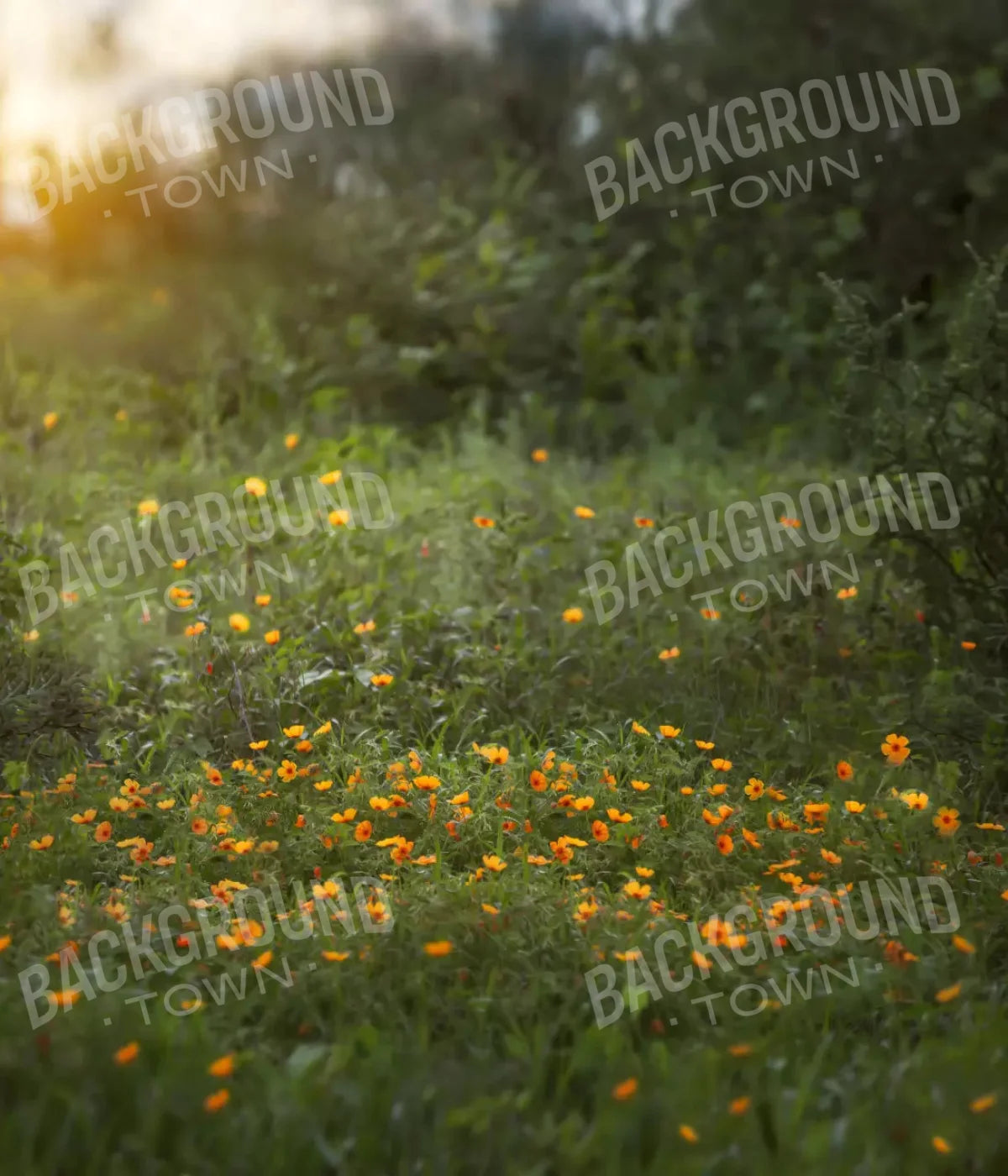 Poppy Forest 10X12 Ultracloth ( 120 X 144 Inch ) Backdrop