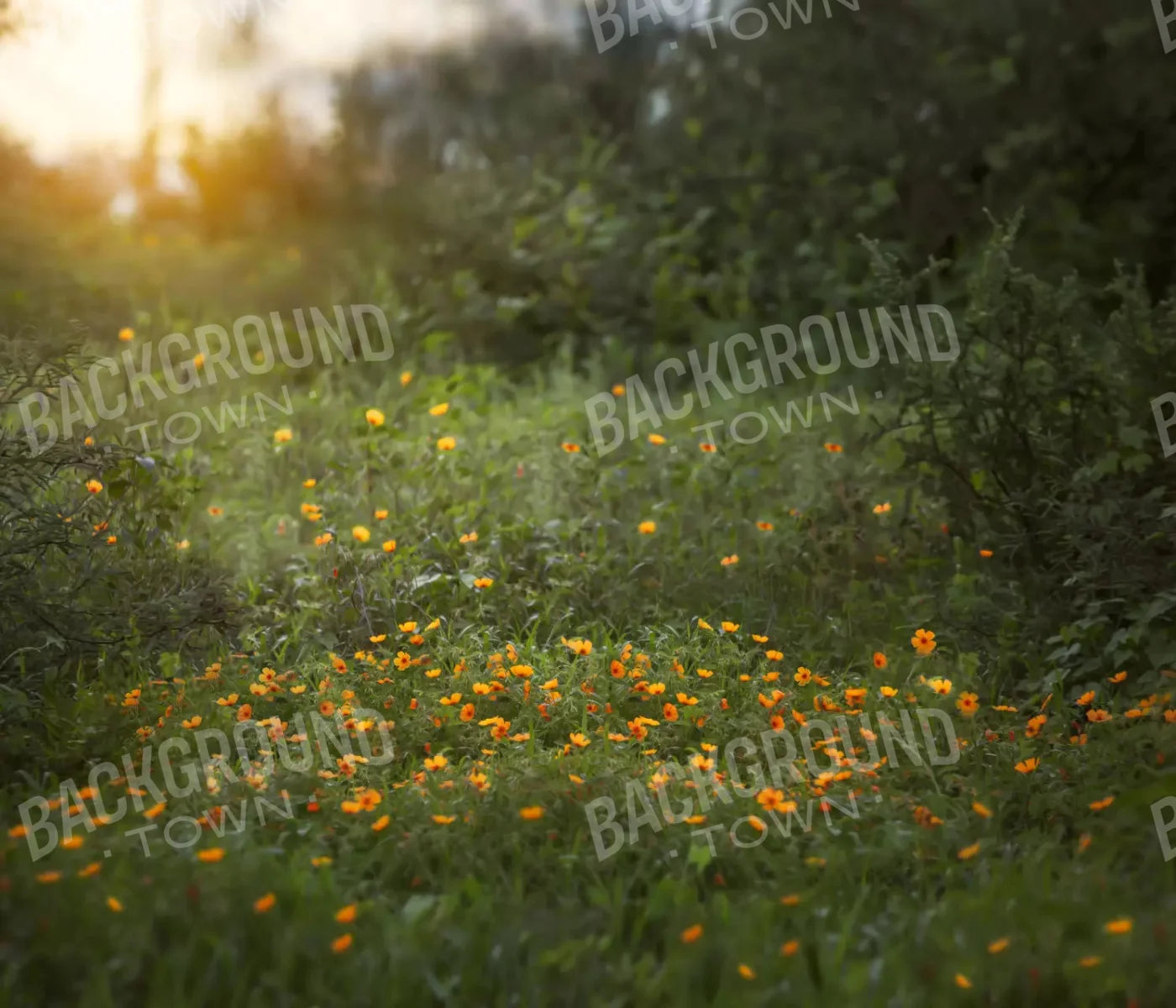 Poppy Forest 12X10 Ultracloth ( 144 X 120 Inch ) Backdrop