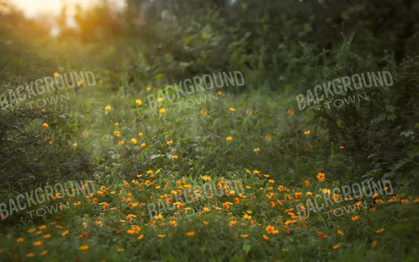 Poppy Forest 14X9 Ultracloth ( 168 X 108 Inch ) Backdrop