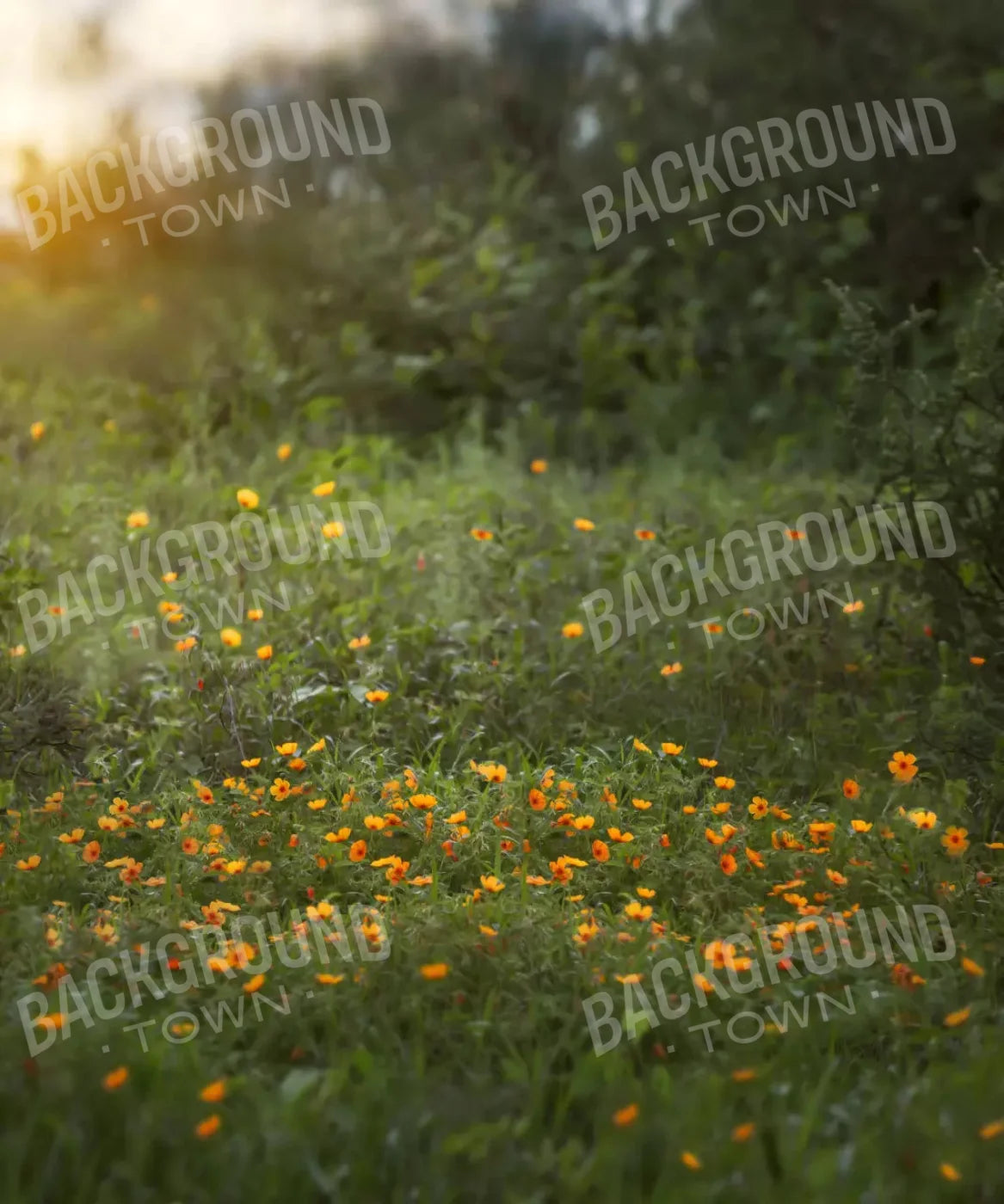 Misty Green Meadow with Orange Flowers Backdrop for Photography