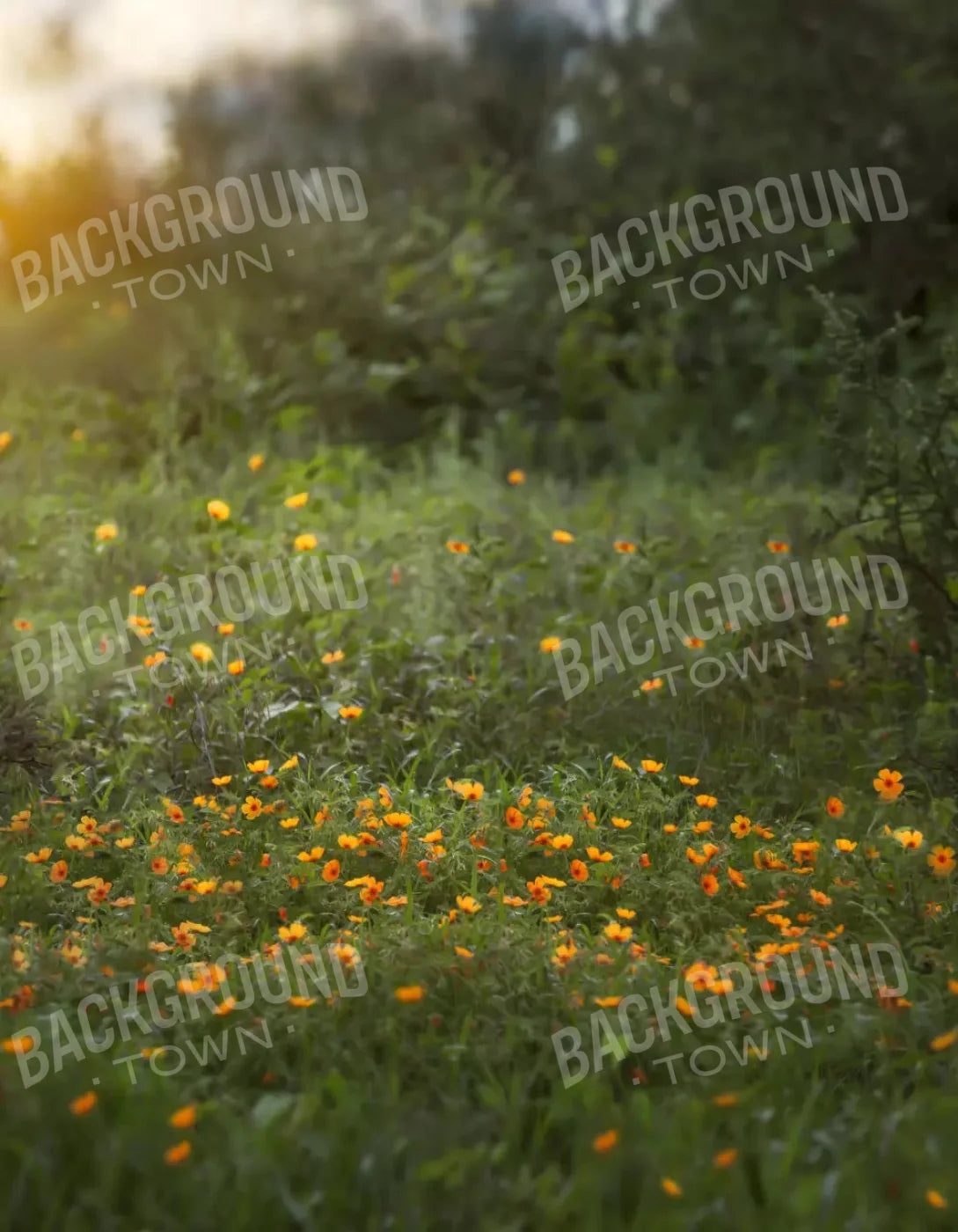 Poppy Forest 6X8 Fleece ( 72 X 96 Inch ) Backdrop