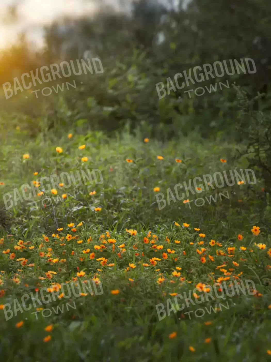 Poppy Forest 8X10 Fleece ( 96 X 120 Inch ) Backdrop