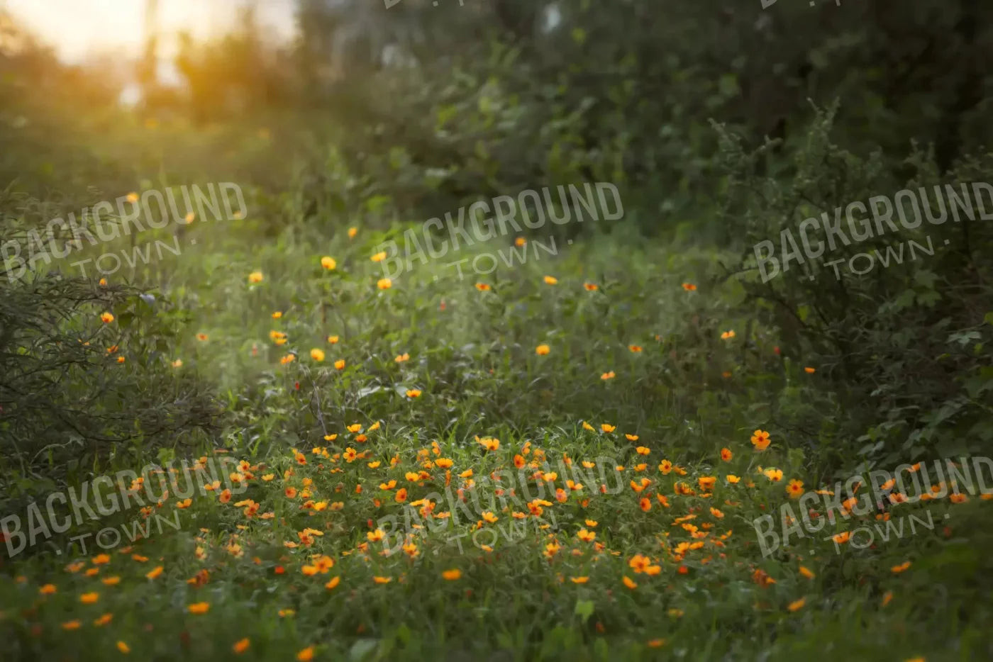 Poppy Forest 8X5 Ultracloth ( 96 X 60 Inch ) Backdrop