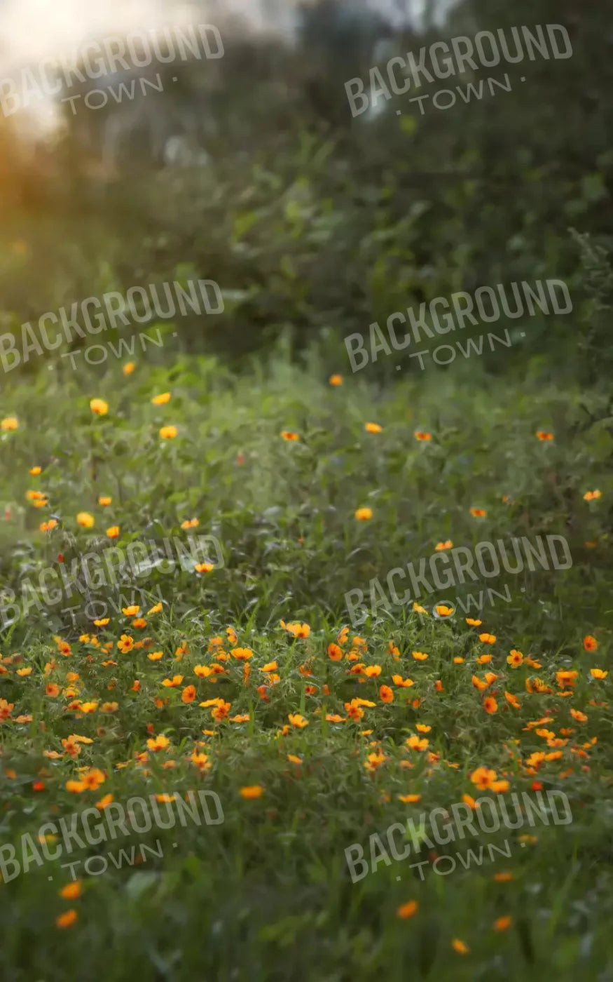Poppy Forest 9X14 Ultracloth ( 108 X 168 Inch ) Backdrop