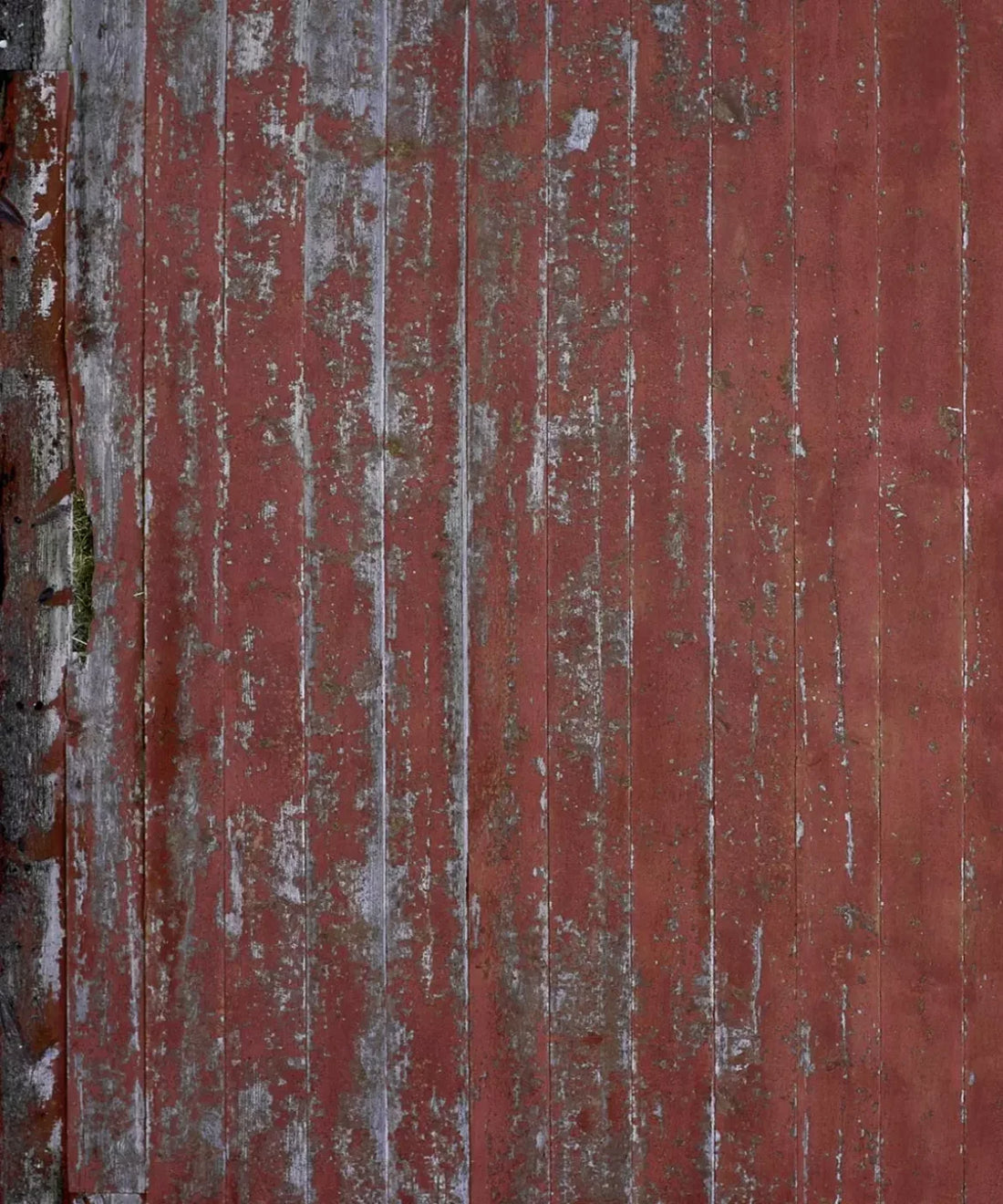 Red Urban Grunge Backdrop for Photography