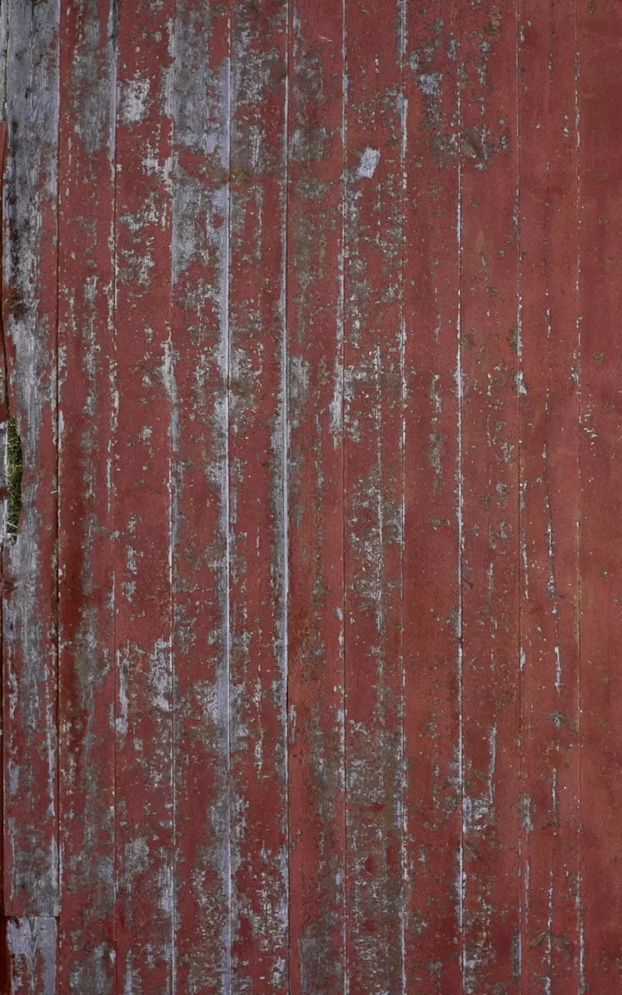 Posted 9’X14’ Ultracloth (108 X 168 Inch) Backdrop