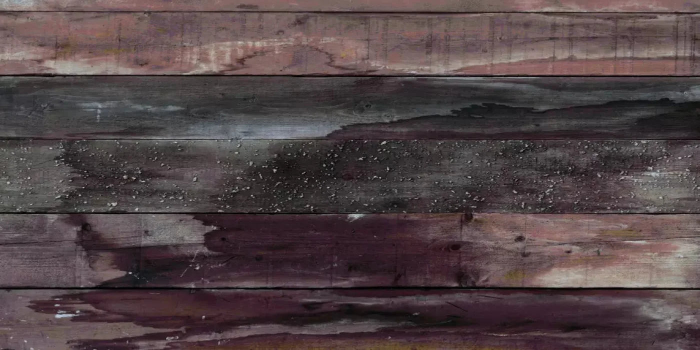 Primitive 20X10 Ultracloth ( 240 X 120 Inch ) Backdrop