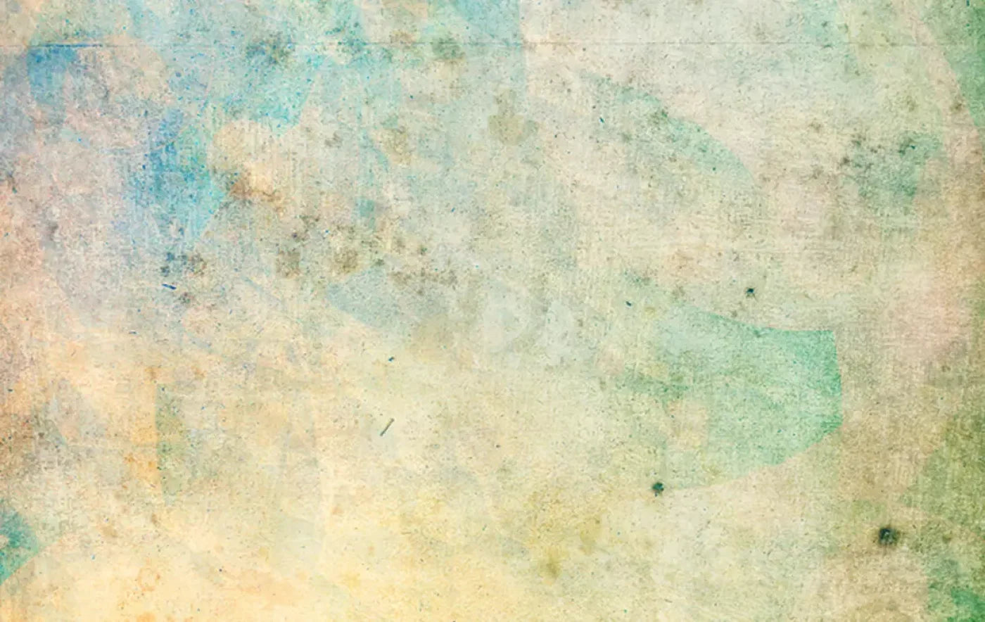 Prism 16’X10’ Ultracloth (192 X 120 Inch) Backdrop