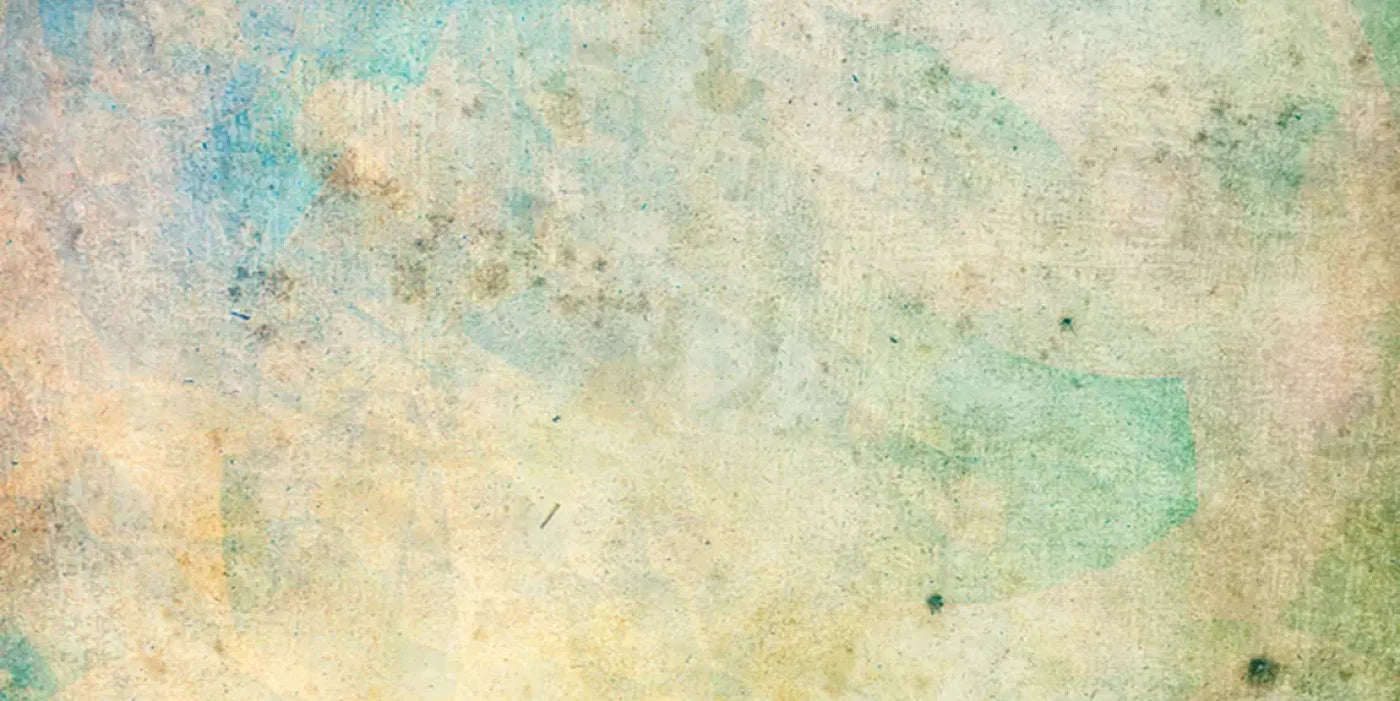 Prism 20’X10’ Ultracloth (240 X 120 Inch) Backdrop