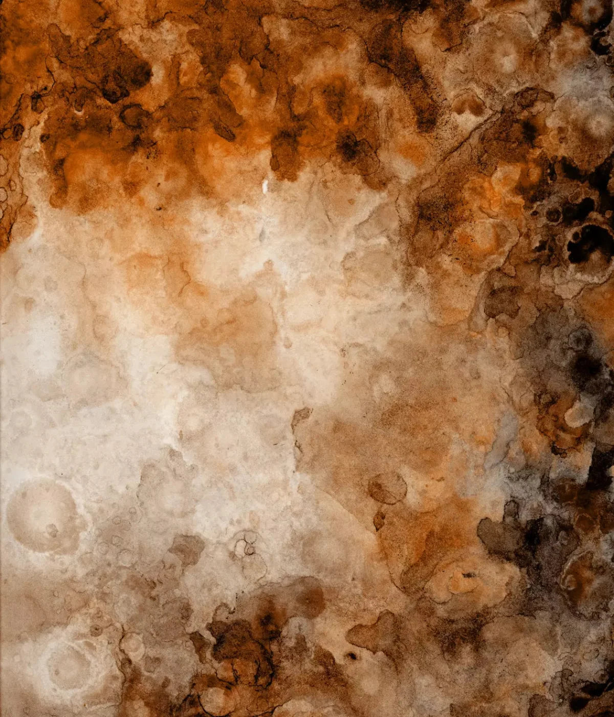 Prompt 10X12 Ultracloth ( 120 X 144 Inch ) Backdrop