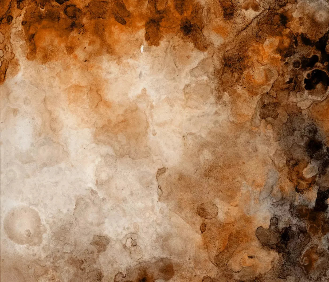 Prompt 12X10 Ultracloth ( 144 X 120 Inch ) Backdrop