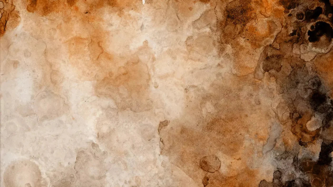 Prompt 14X8 Ultracloth ( 168 X 96 Inch ) Backdrop