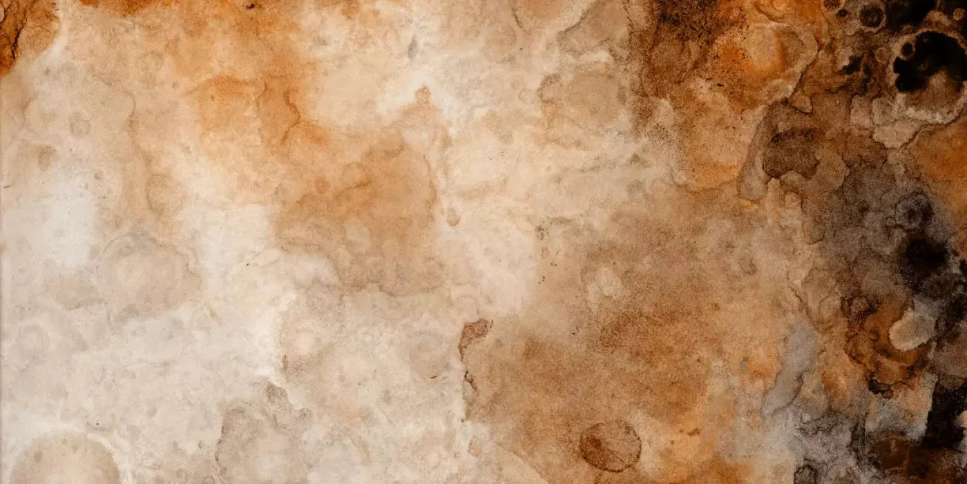 Prompt 20X10 Ultracloth ( 240 X 120 Inch ) Backdrop