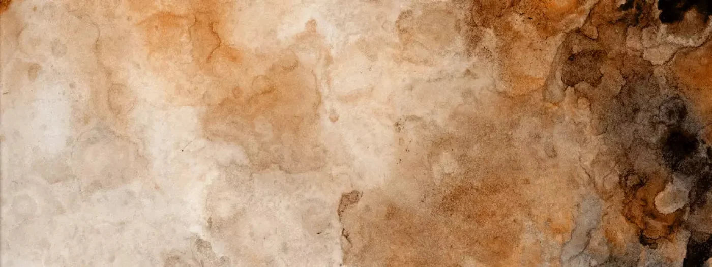 Prompt 20X8 Ultracloth ( 240 X 96 Inch ) Backdrop