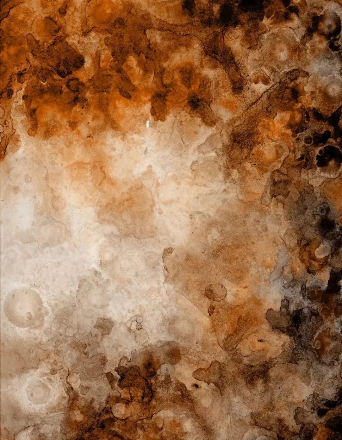 Prompt 6X8 Fleece ( 72 X 96 Inch ) Backdrop