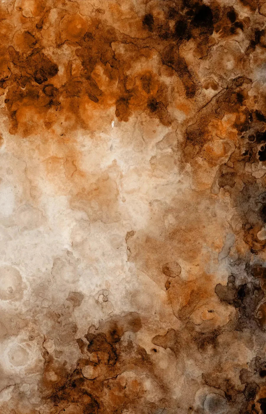 Prompt 8X12 Ultracloth ( 96 X 144 Inch ) Backdrop