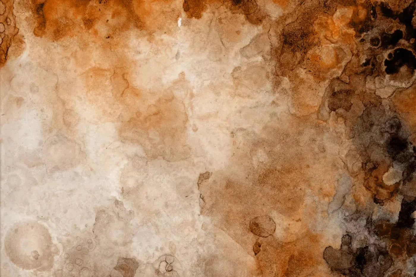 Prompt 8X5 Ultracloth ( 96 X 60 Inch ) Backdrop