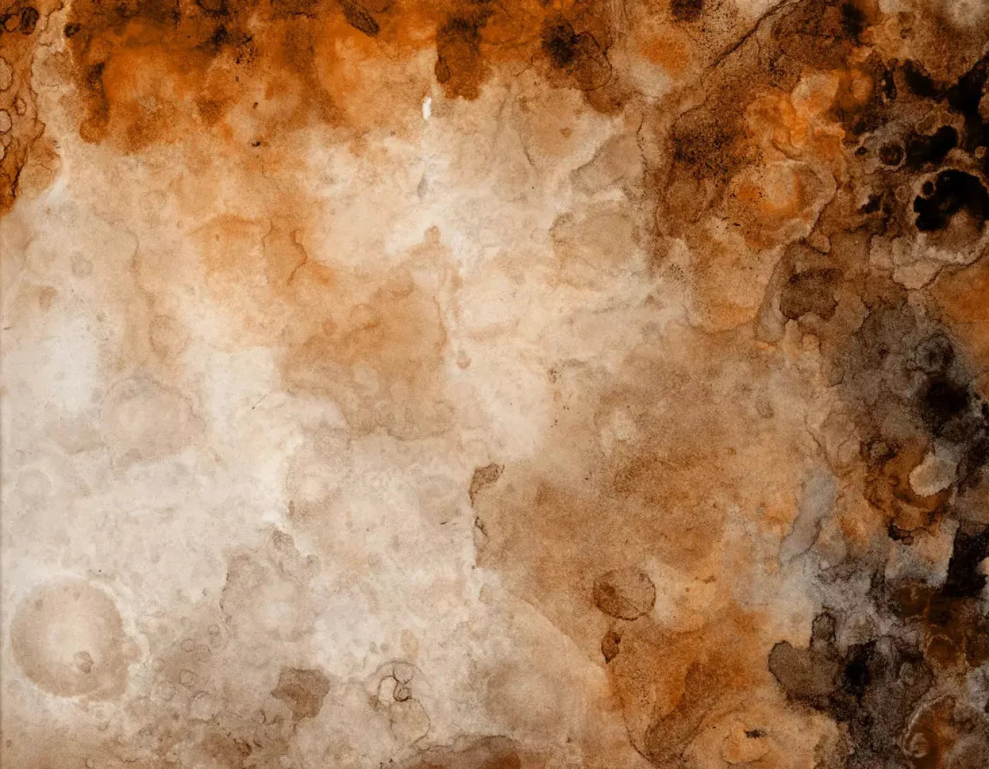 Prompt 8X6 Fleece ( 96 X 72 Inch ) Backdrop