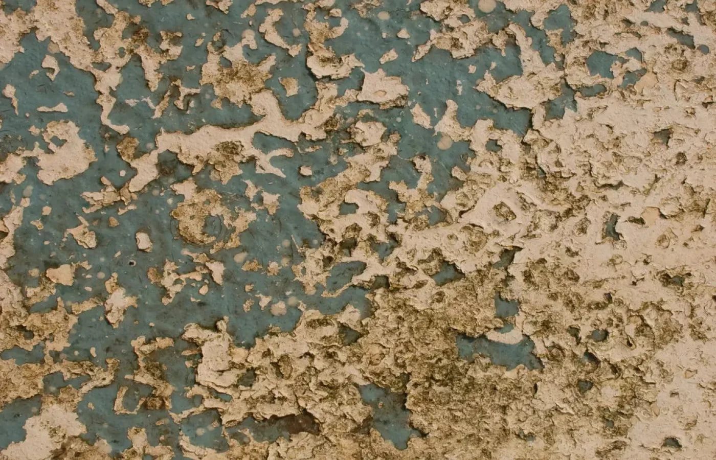 Property 12X8 Ultracloth ( 144 X 96 Inch ) Backdrop