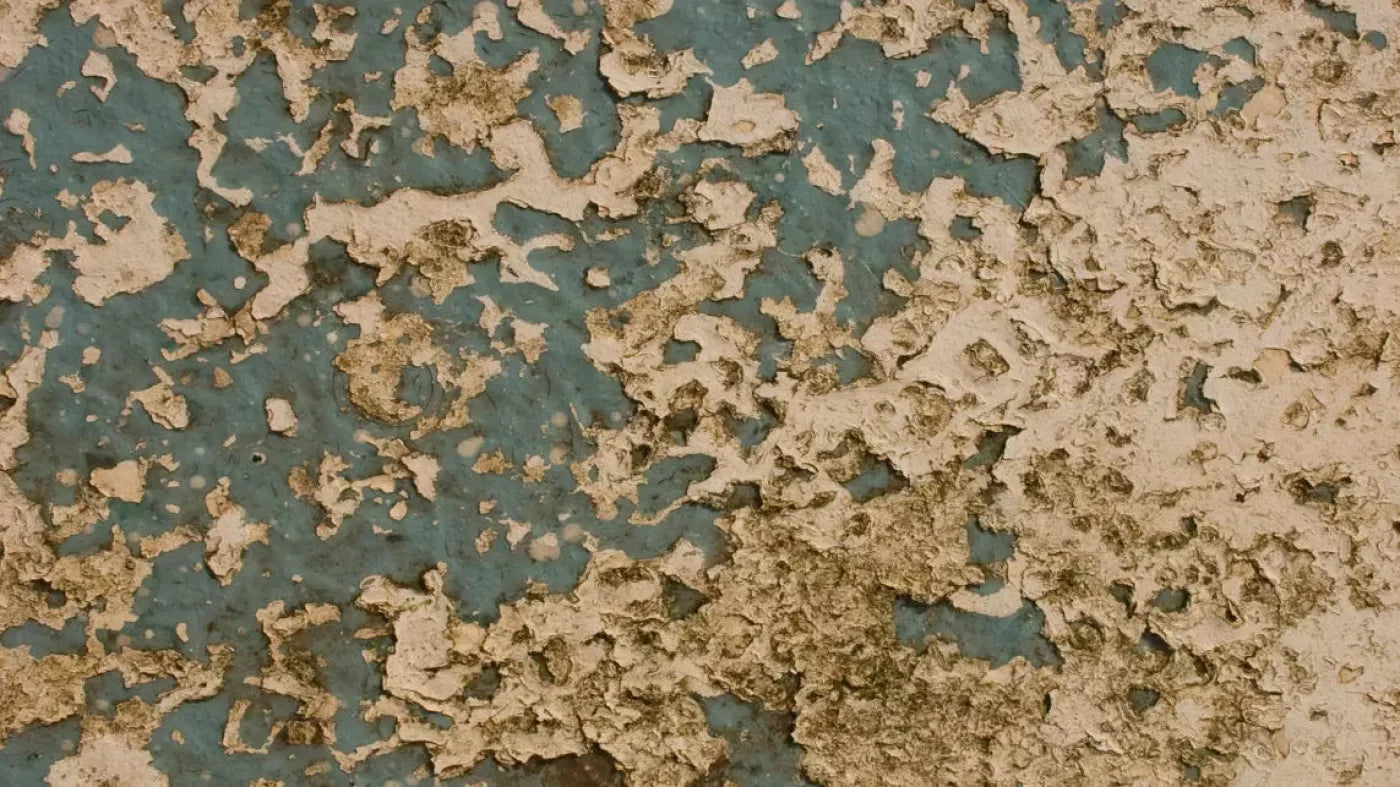 Property 14X8 Ultracloth ( 168 X 96 Inch ) Backdrop