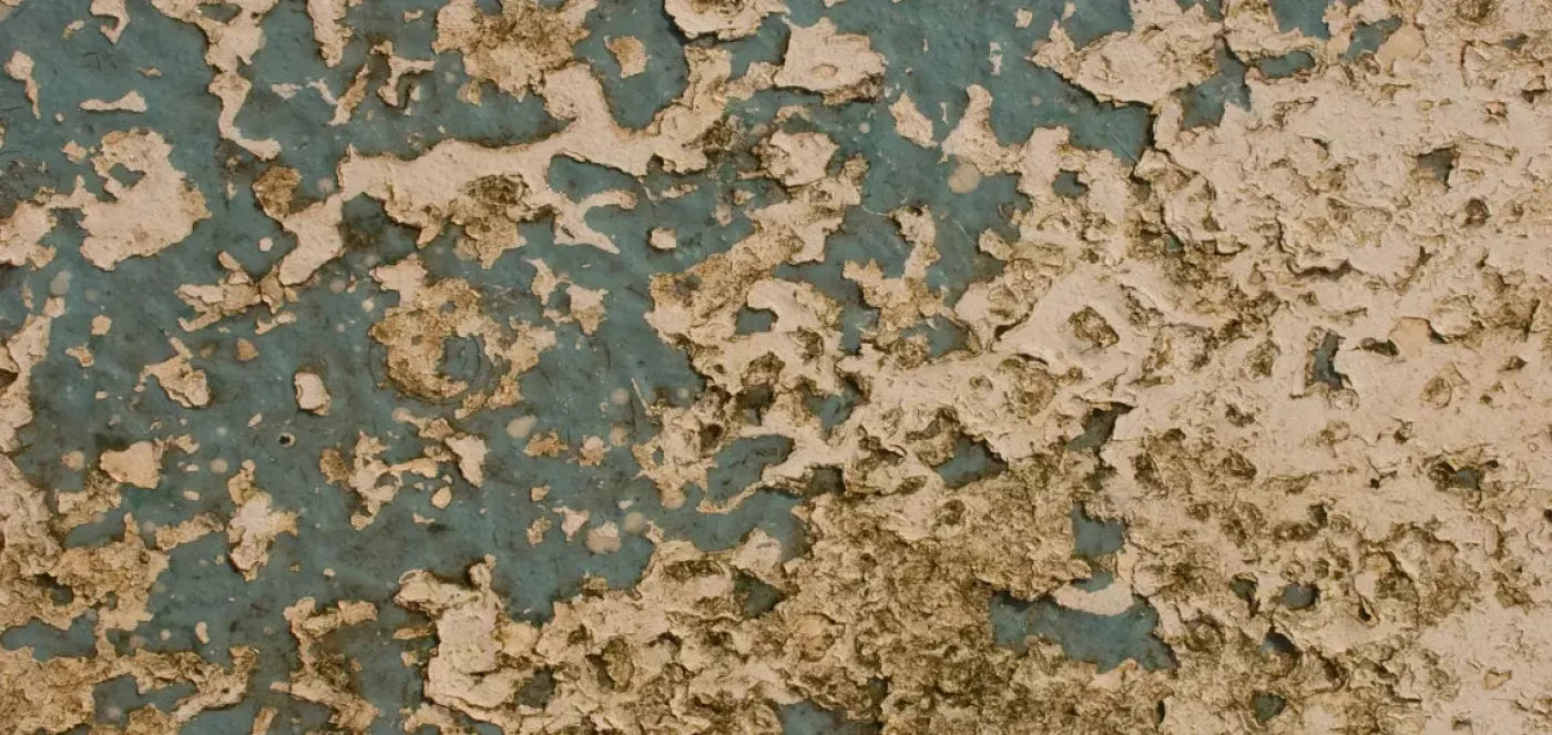 Property 16X8 Ultracloth ( 192 X 96 Inch ) Backdrop