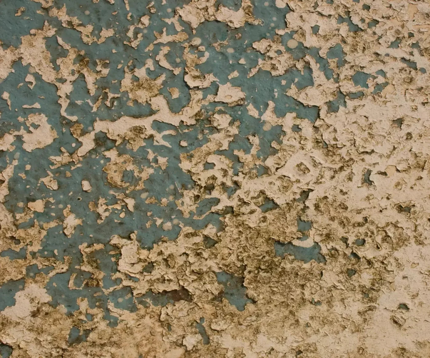 Property 5X42 Fleece ( 60 X 50 Inch ) Backdrop