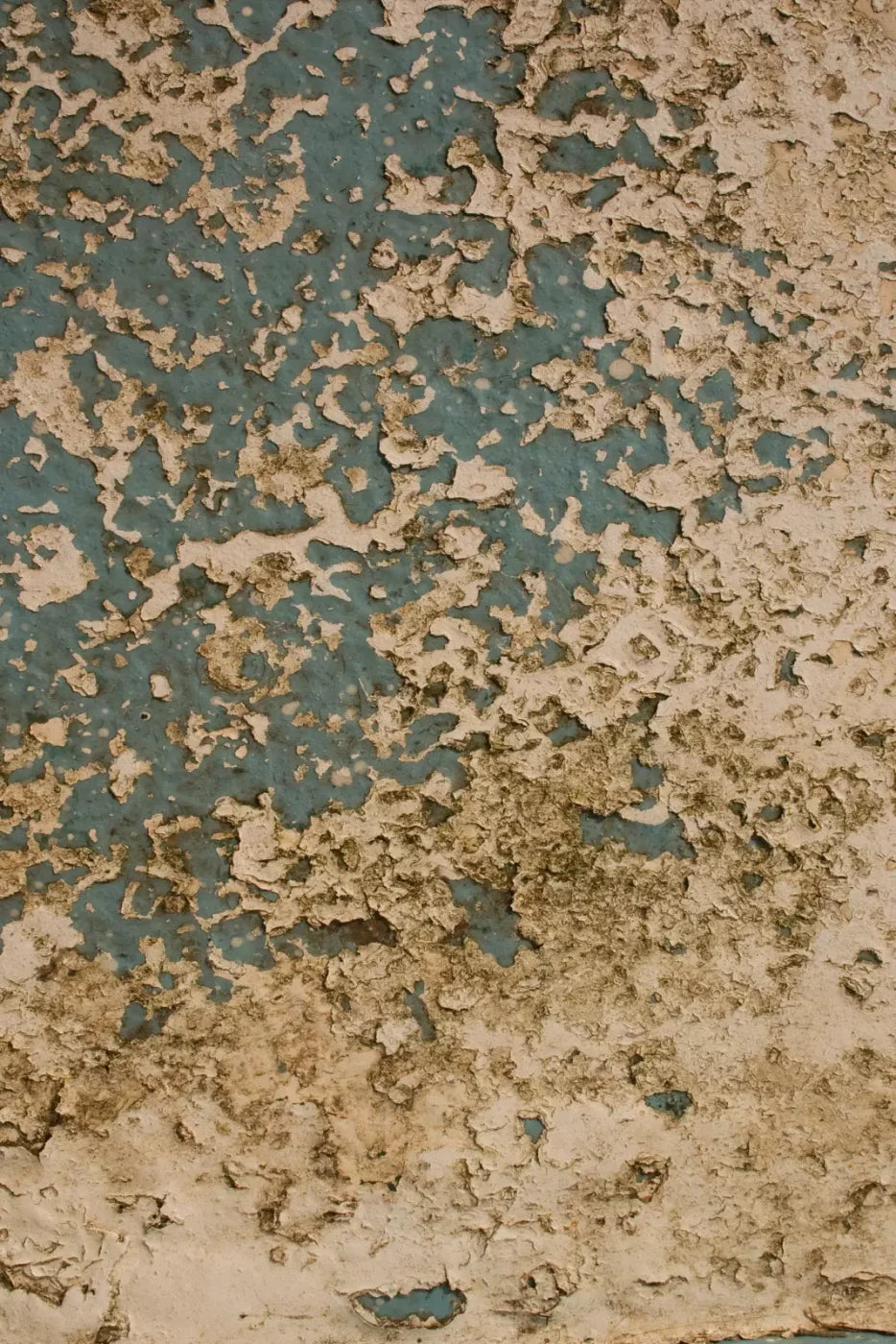 Property 5X8 Ultracloth ( 60 X 96 Inch ) Backdrop