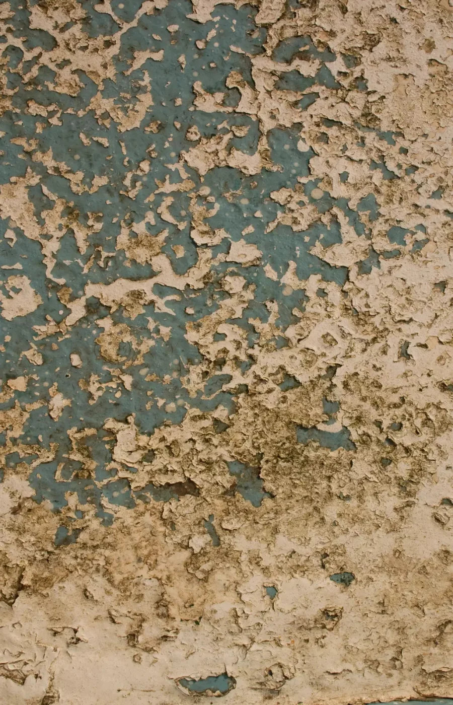 Property 8X12 Ultracloth ( 96 X 144 Inch ) Backdrop