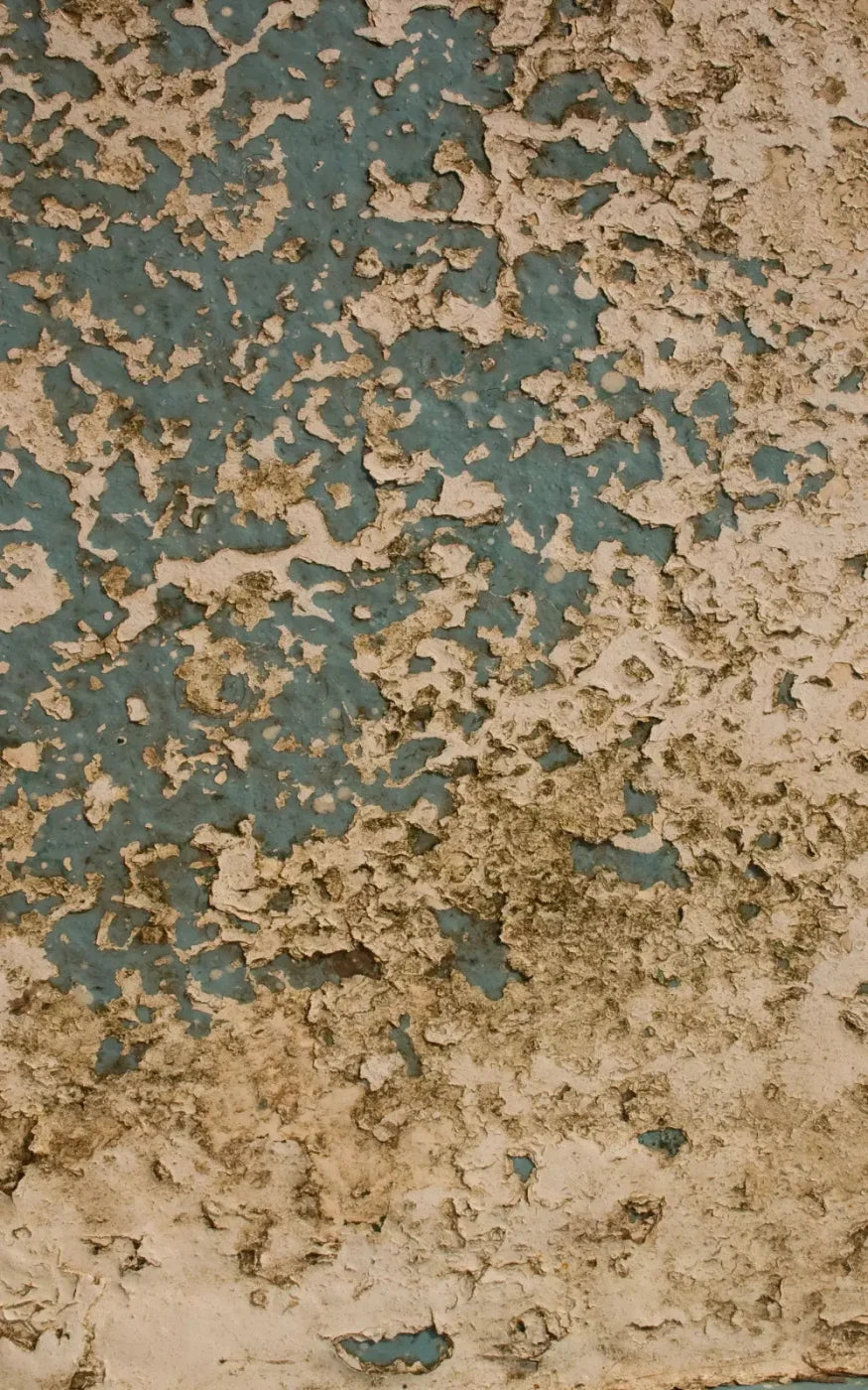 Property 9X14 Ultracloth ( 108 X 168 Inch ) Backdrop