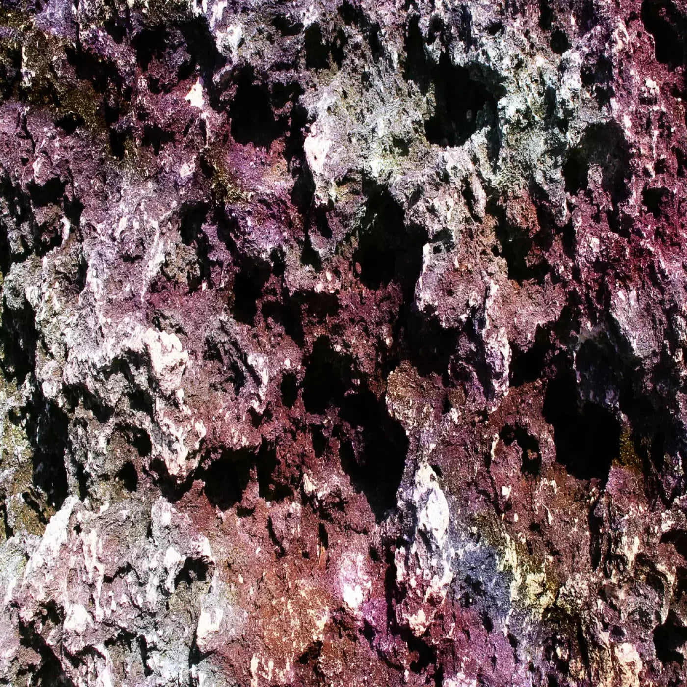 Provoke 10X10 Ultracloth ( 120 X Inch ) Backdrop