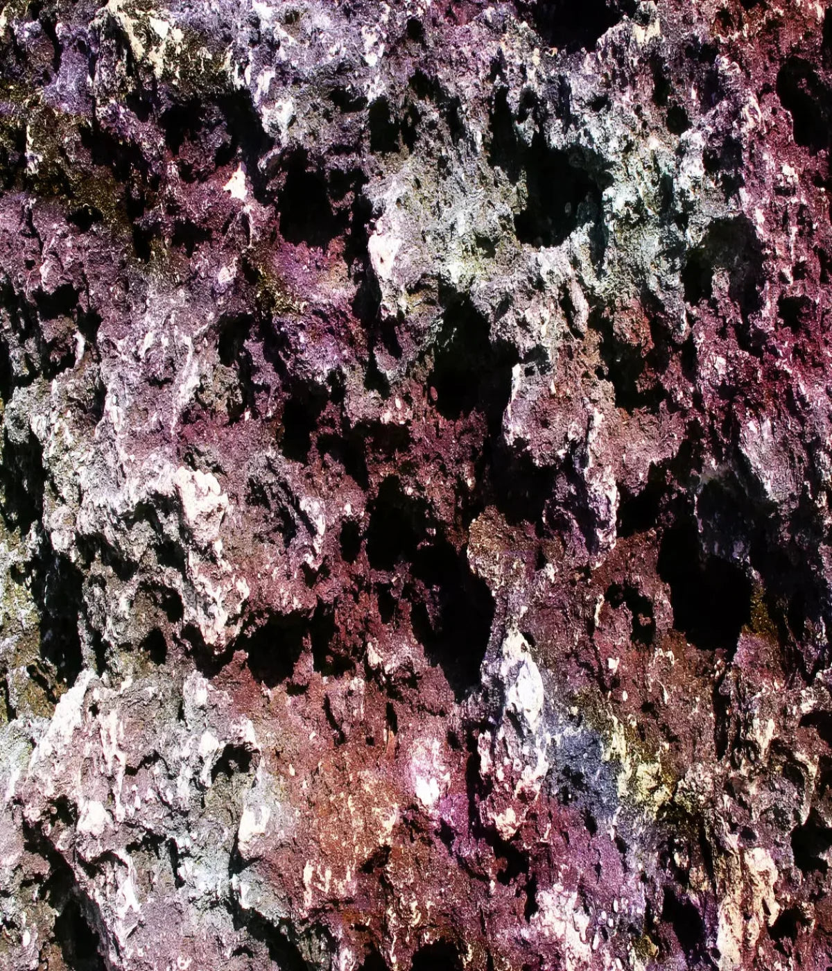 Provoke 10X12 Ultracloth ( 120 X 144 Inch ) Backdrop