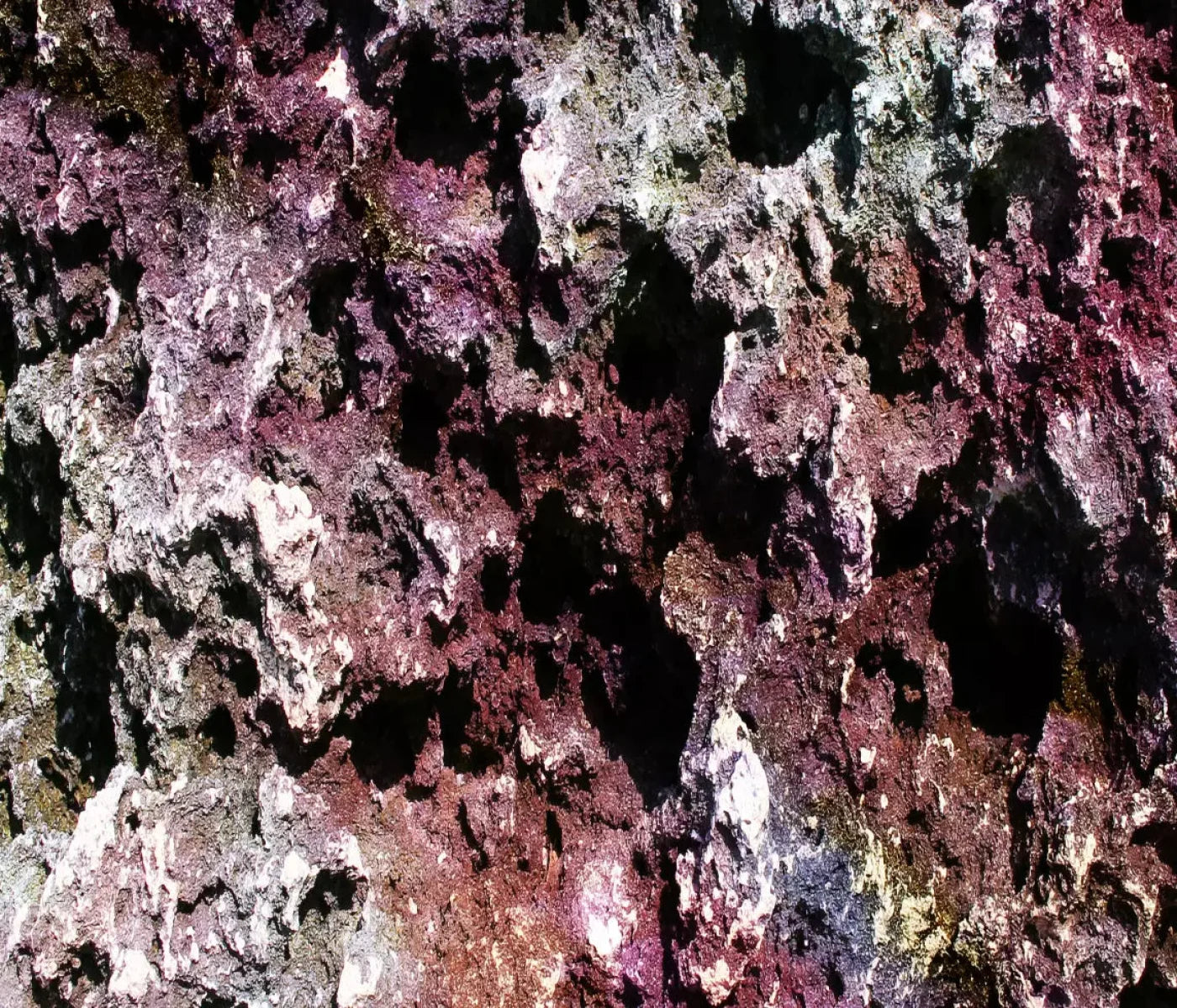 Provoke 12X10 Ultracloth ( 144 X 120 Inch ) Backdrop