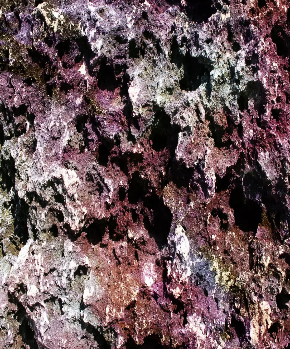 Purple Brick and Stone Backdrop for Photography