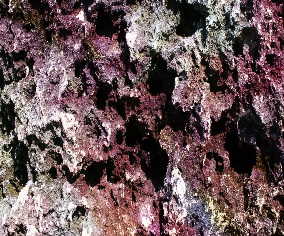 Provoke 5X42 Fleece ( 60 X 50 Inch ) Backdrop