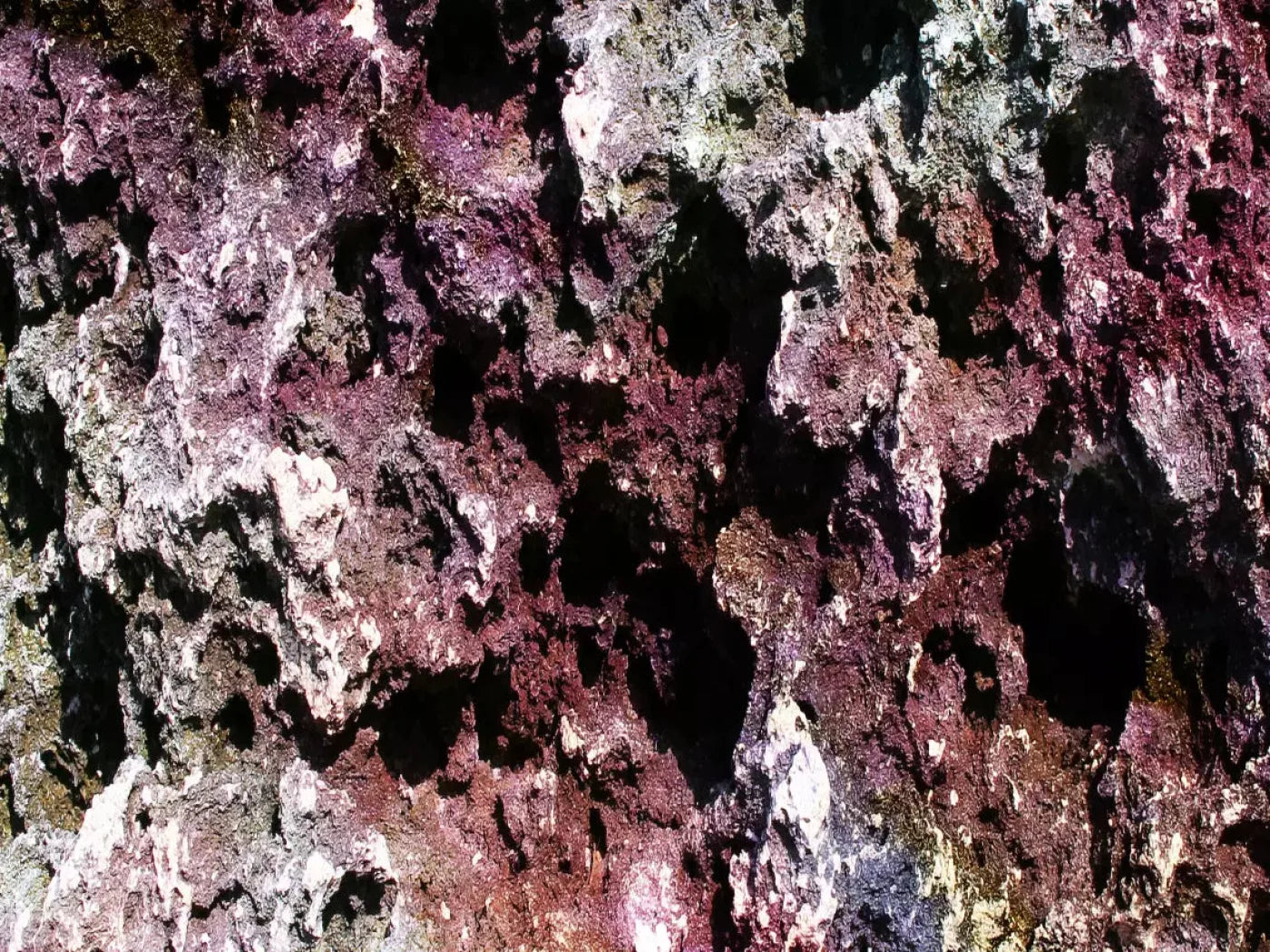 Provoke 68X5 Fleece ( 80 X 60 Inch ) Backdrop