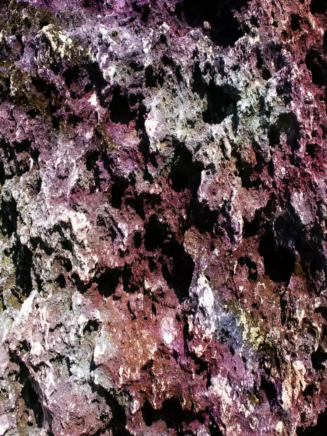 Provoke 8X10 Fleece ( 96 X 120 Inch ) Backdrop