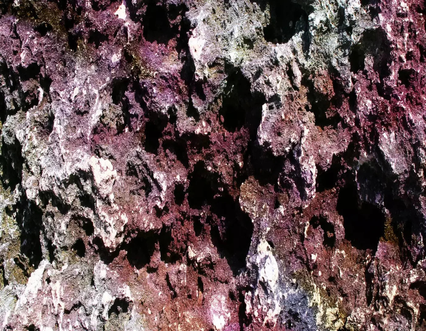 Provoke 8X6 Fleece ( 96 X 72 Inch ) Backdrop