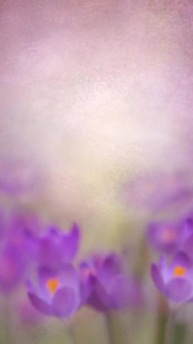 Purple Spring 8X14 Ultracloth ( 96 X 168 Inch ) Backdrop