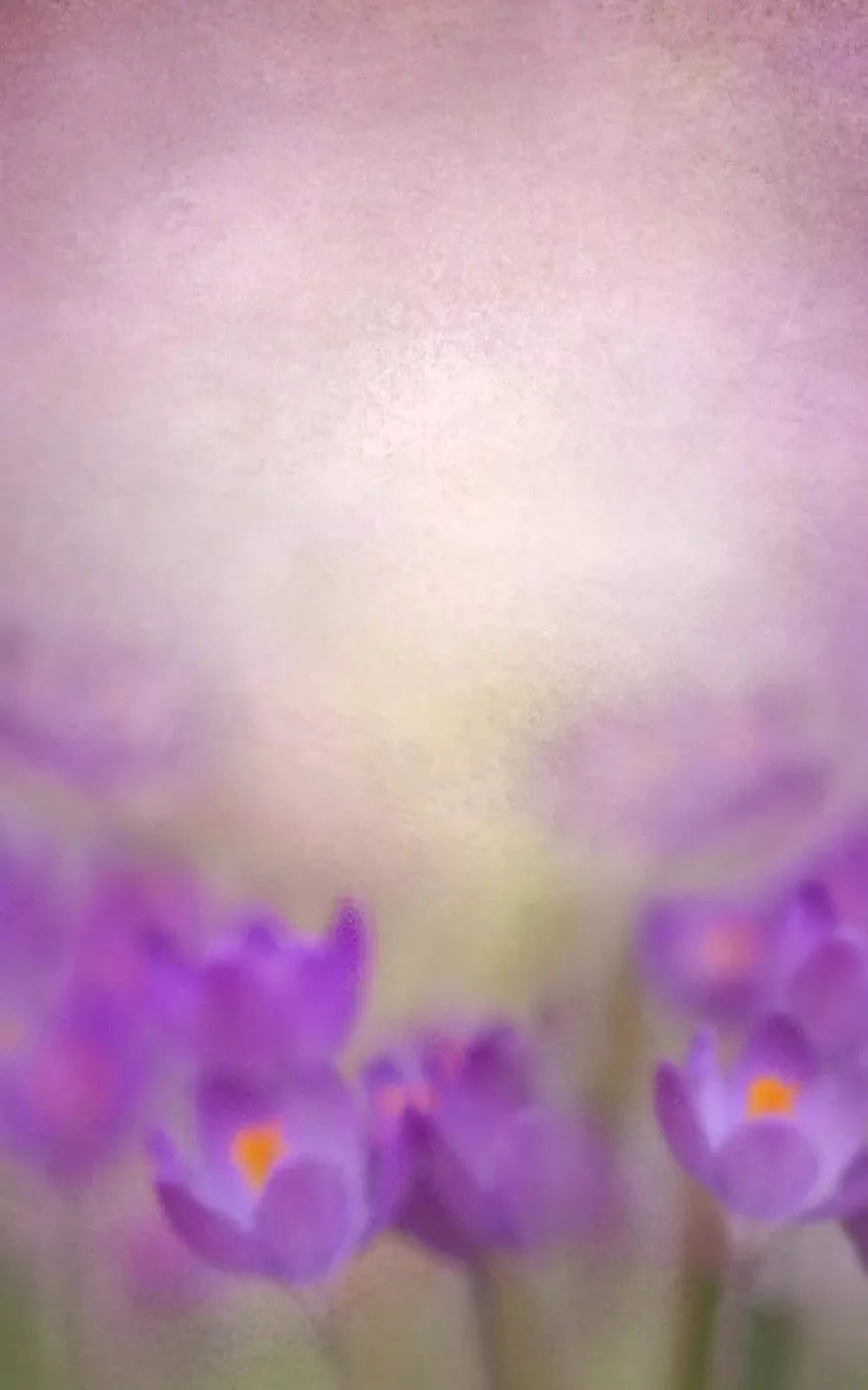 Purple Spring 9X14 Ultracloth ( 108 X 168 Inch ) Backdrop